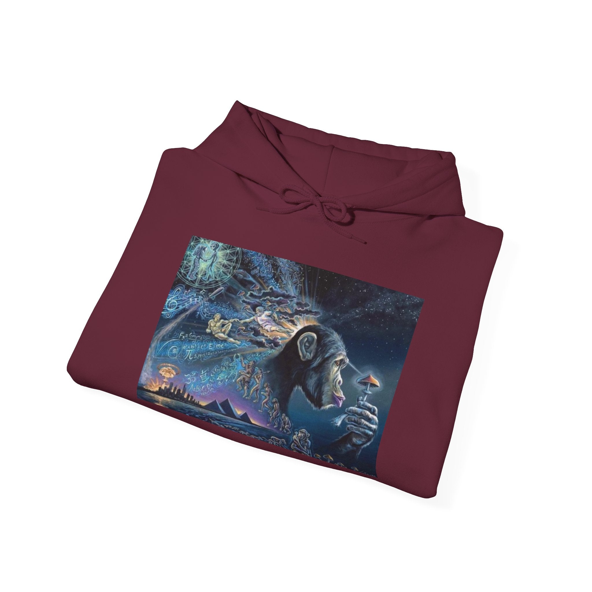 Stoned Ape Theory Hoodie - Unisex Heavy Blend Sweatshirt, Galaxy Art Pullover, Mens Womens Hoodie, Chill Vibes Sweatshirt