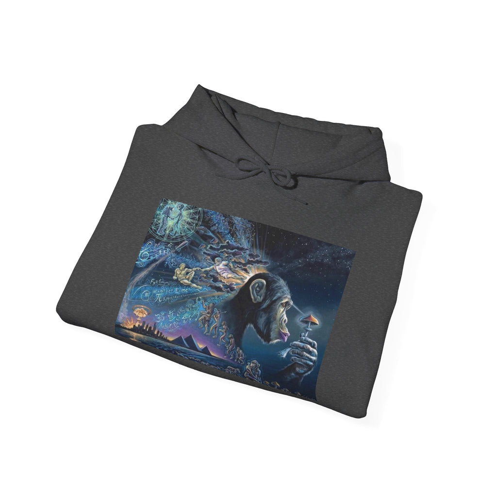 Stoned Ape Theory Hoodie - Unisex Heavy Blend Sweatshirt, Galaxy Art Pullover, Mens Womens Hoodie, Chill Vibes Sweatshirt