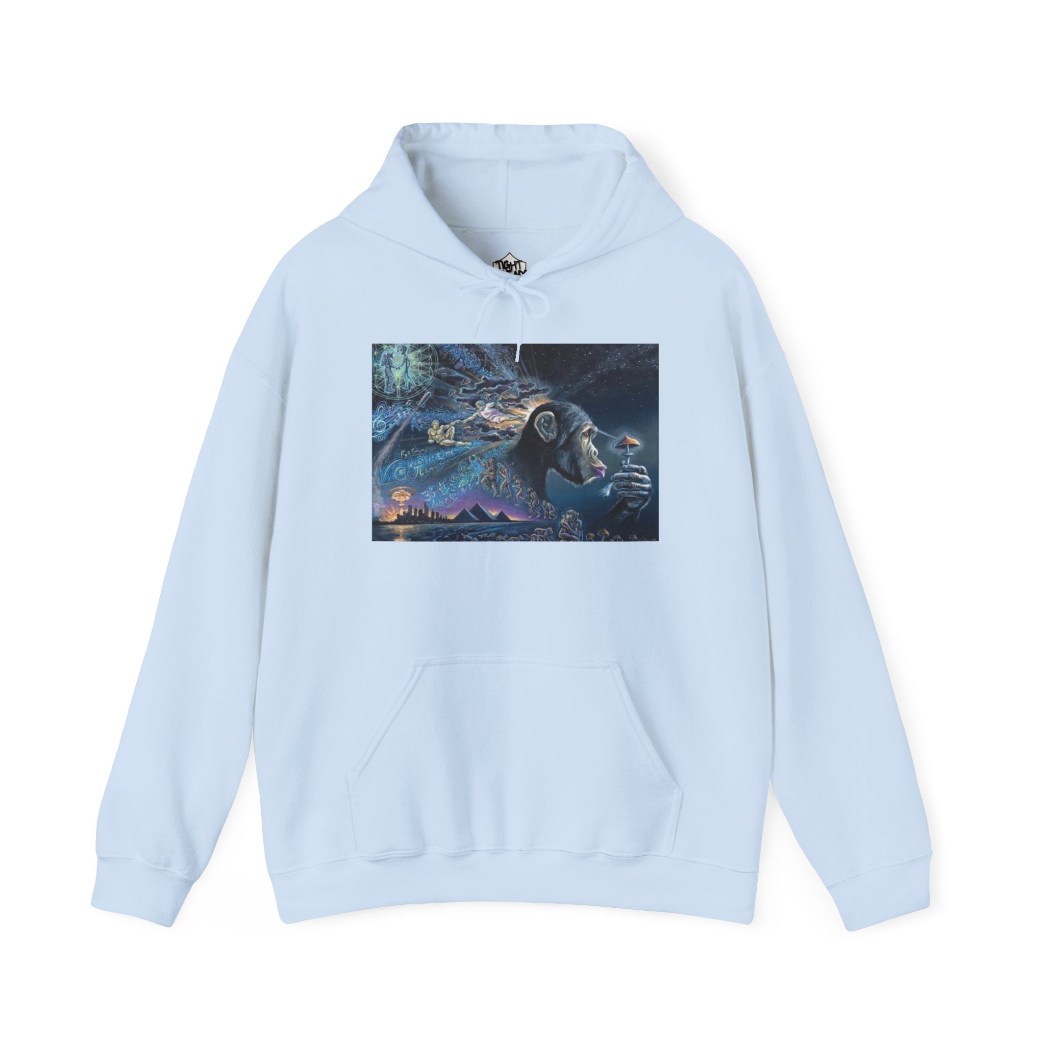 Stoned Ape Theory Hoodie - Unisex Heavy Blend Sweatshirt, Galaxy Art Pullover, Mens Womens Hoodie, Chill Vibes Sweatshirt