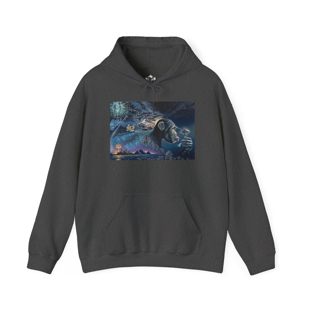 Stoned Ape Theory Hoodie - Unisex Heavy Blend Sweatshirt, Galaxy Art Pullover, Mens Womens Hoodie, Chill Vibes Sweatshirt