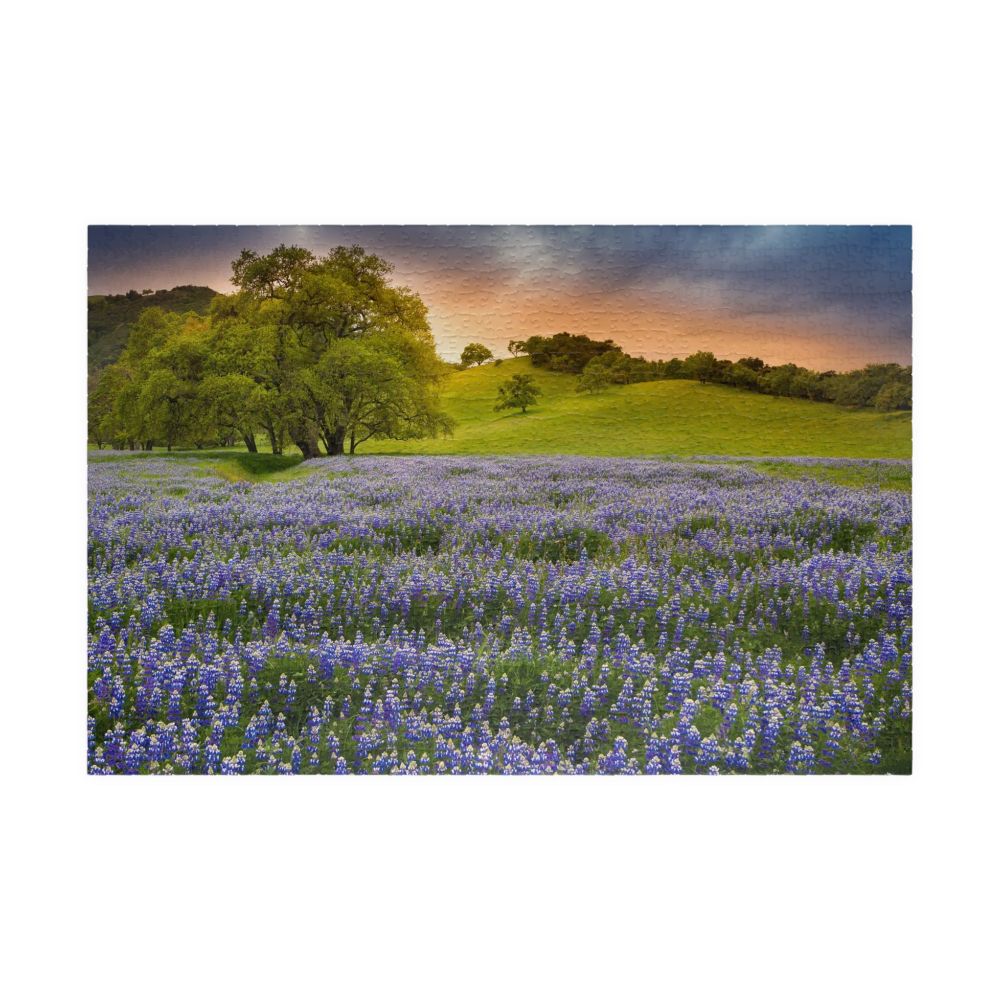 Bluebonnet Field Sunset Puzzle | Scenic Landscape Jigsaw