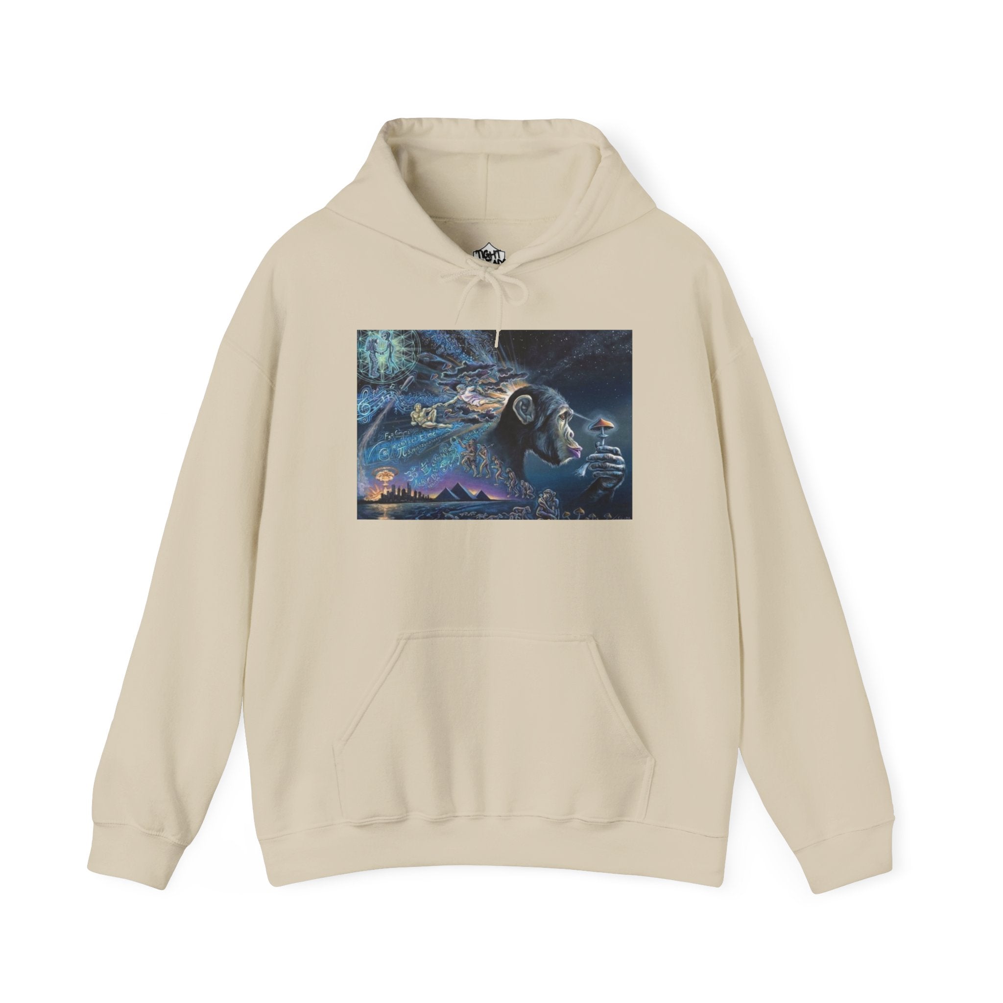 Stoned Ape Theory Hoodie - Unisex Heavy Blend Sweatshirt, Galaxy Art Pullover, Mens Womens Hoodie, Chill Vibes Sweatshirt
