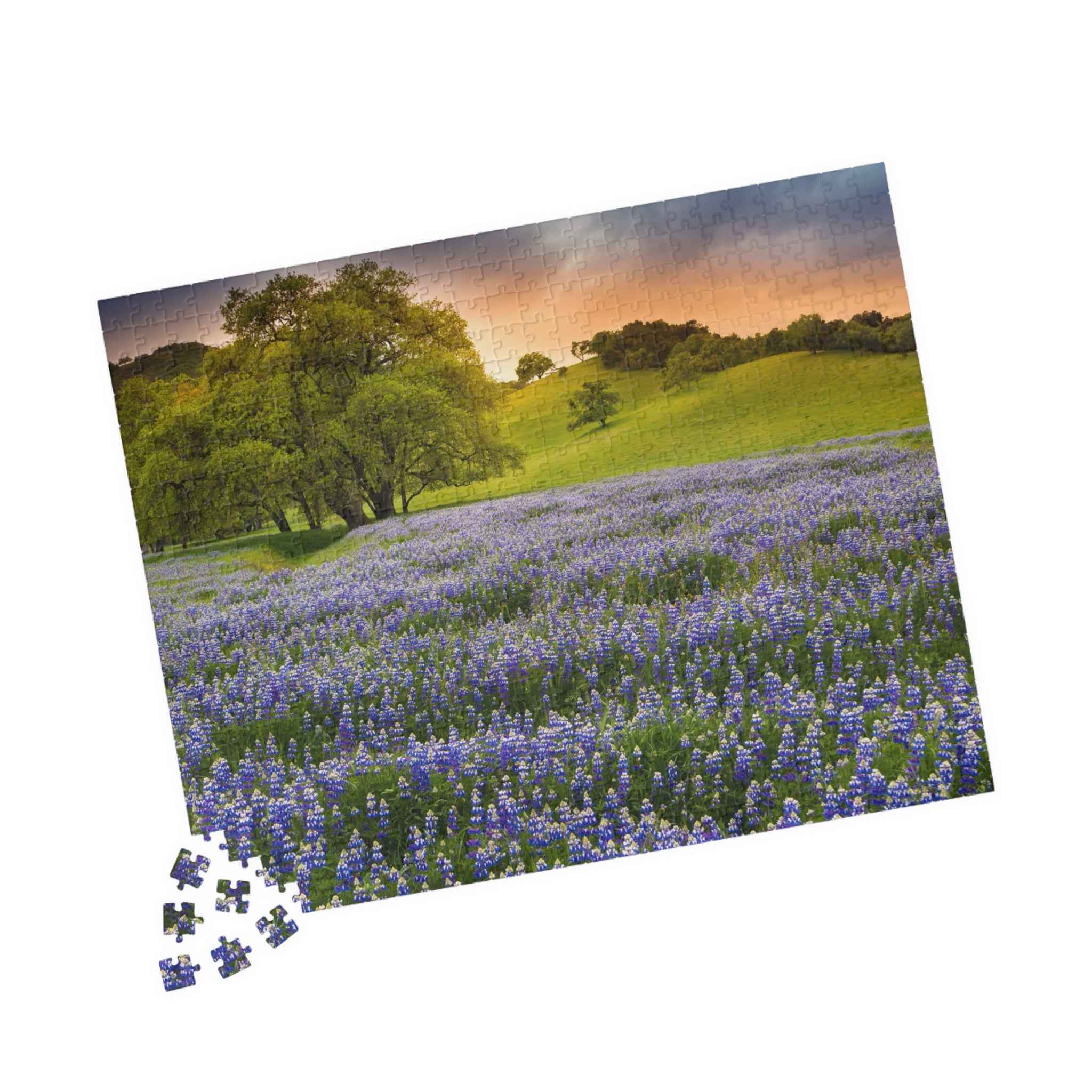Bluebonnet Field Sunset Puzzle | Scenic Landscape Jigsaw