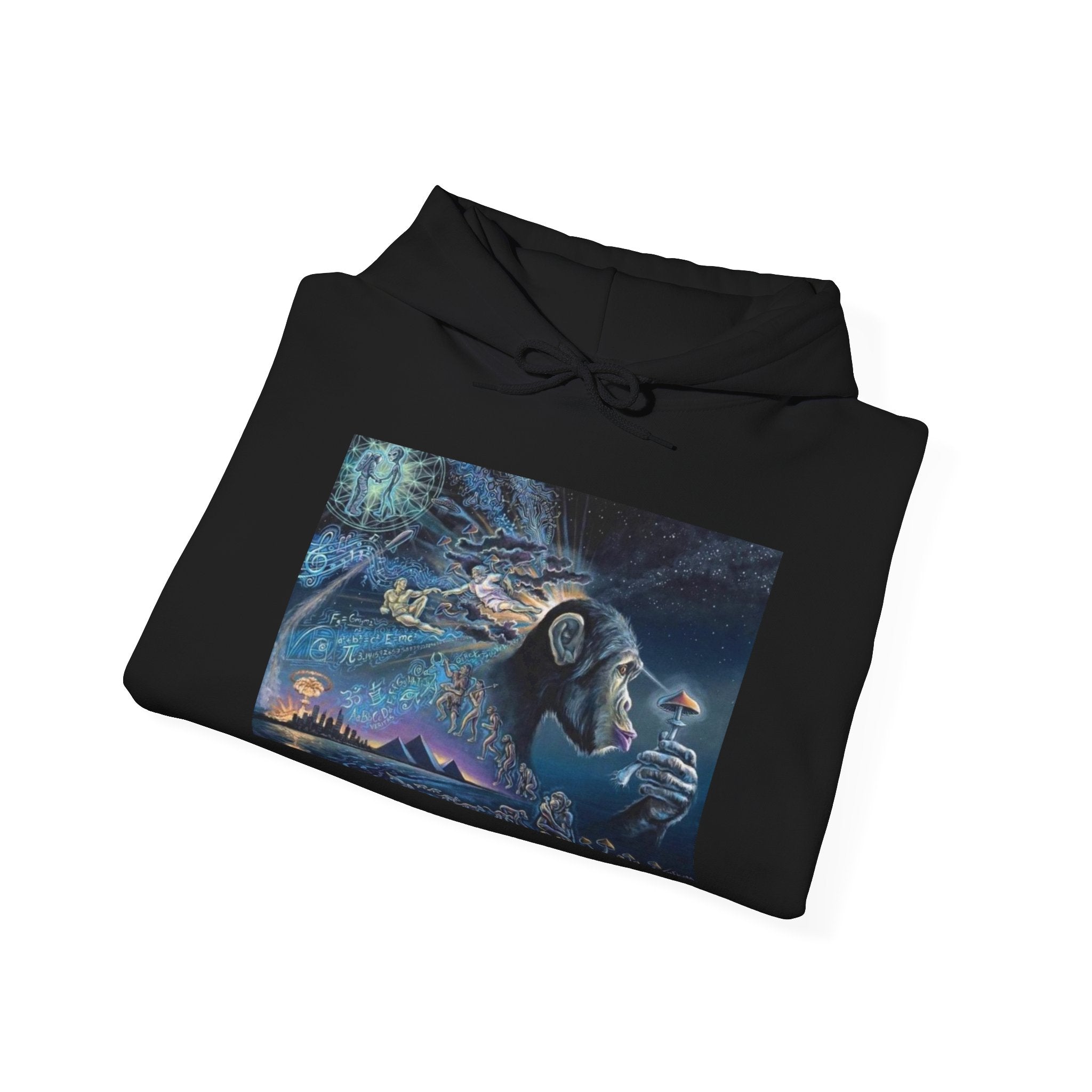 Stoned Ape Theory Hoodie - Unisex Heavy Blend Sweatshirt, Galaxy Art Pullover, Mens Womens Hoodie, Chill Vibes Sweatshirt