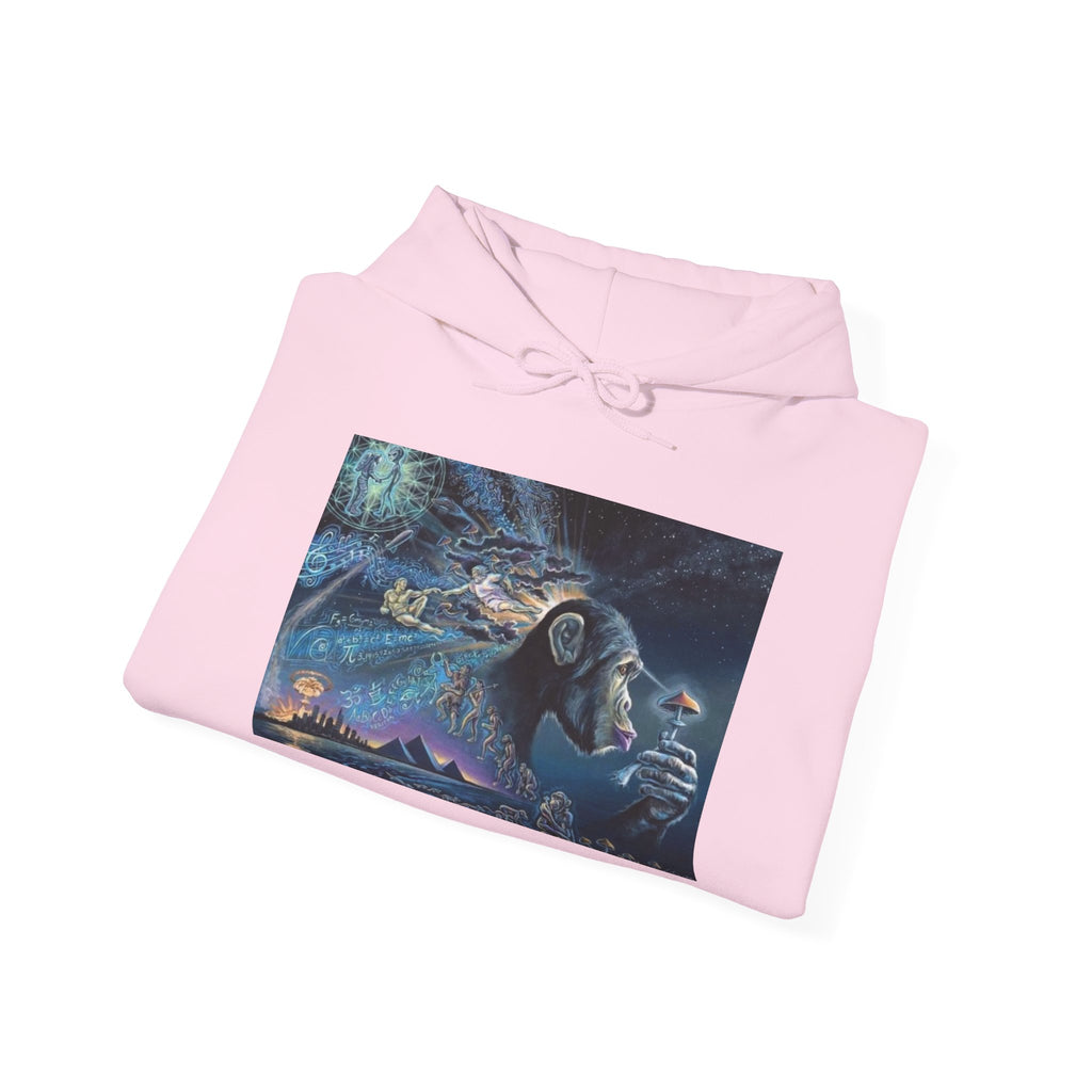 Stoned Ape Theory Hoodie - Unisex Heavy Blend Sweatshirt, Galaxy Art Pullover, Mens Womens Hoodie, Chill Vibes Sweatshirt