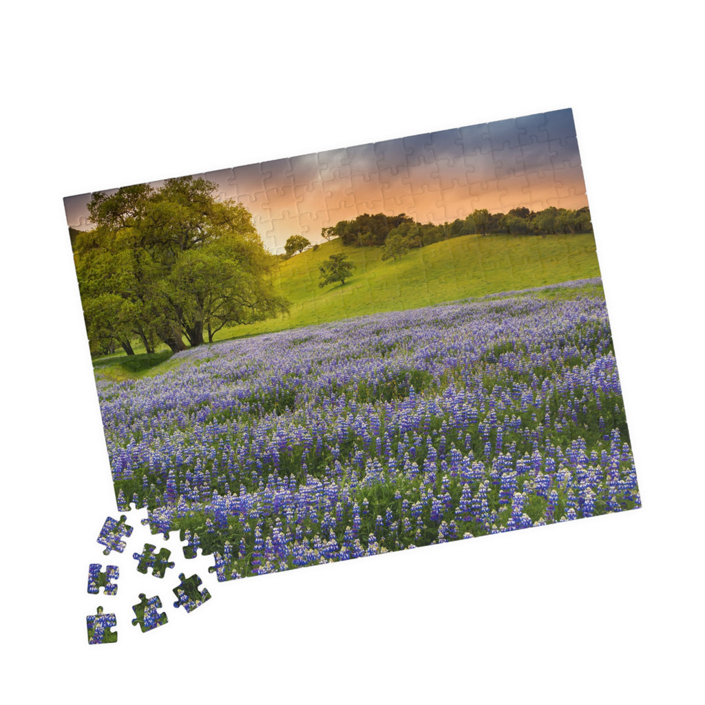 Bluebonnet Field Sunset Puzzle | Scenic Landscape Jigsaw