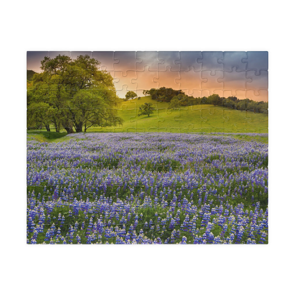 Bluebonnet Field Sunset Puzzle | Scenic Landscape Jigsaw