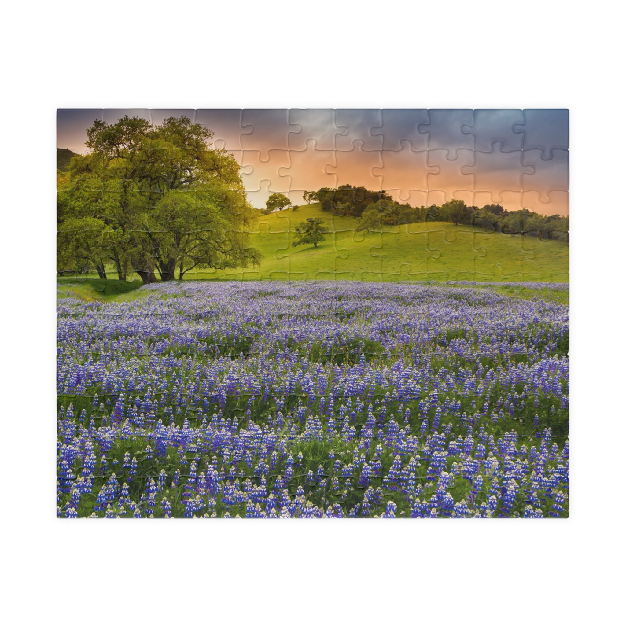 Bluebonnet Field Sunset Puzzle | Scenic Landscape Jigsaw