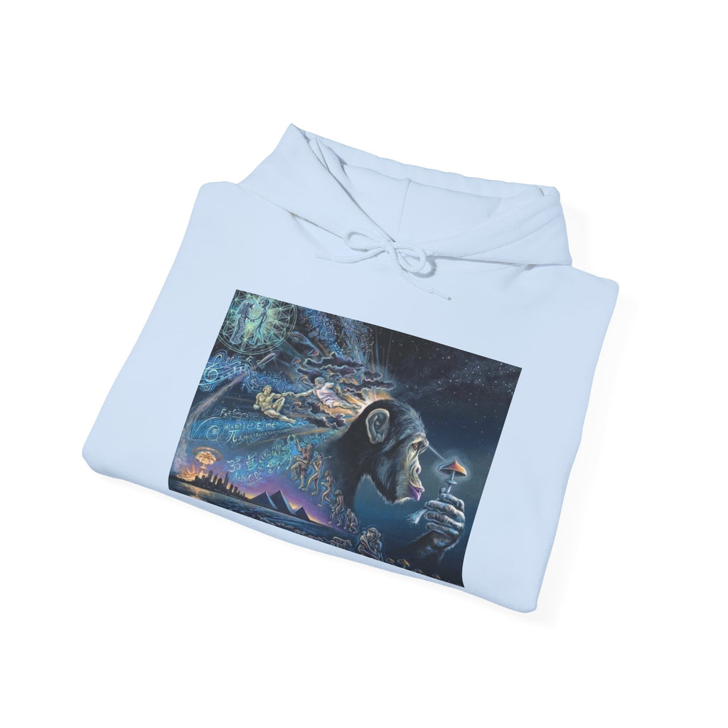 Stoned Ape Theory Hoodie - Unisex Heavy Blend Sweatshirt, Galaxy Art Pullover, Mens Womens Hoodie, Chill Vibes Sweatshirt