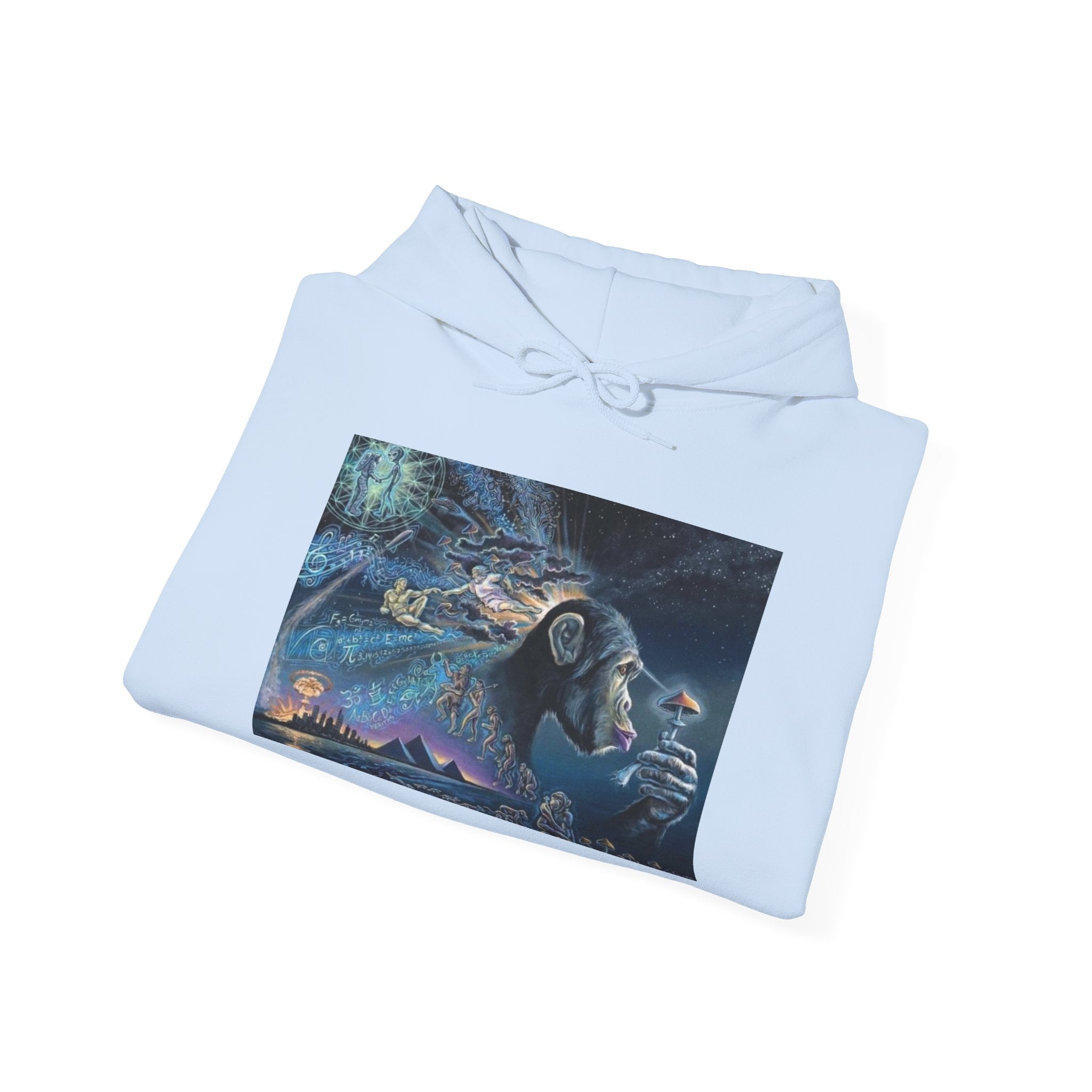 Stoned Ape Theory Hoodie - Unisex Heavy Blend Sweatshirt, Galaxy Art Pullover, Mens Womens Hoodie, Chill Vibes Sweatshirt