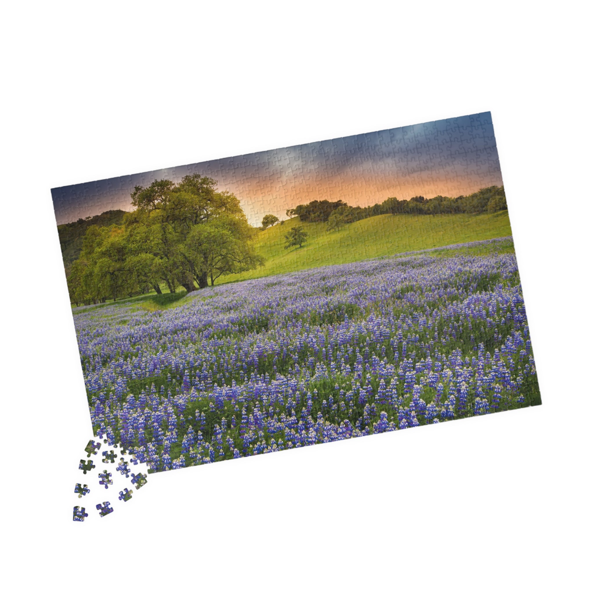 Bluebonnet Field Sunset Puzzle | Scenic Landscape Jigsaw