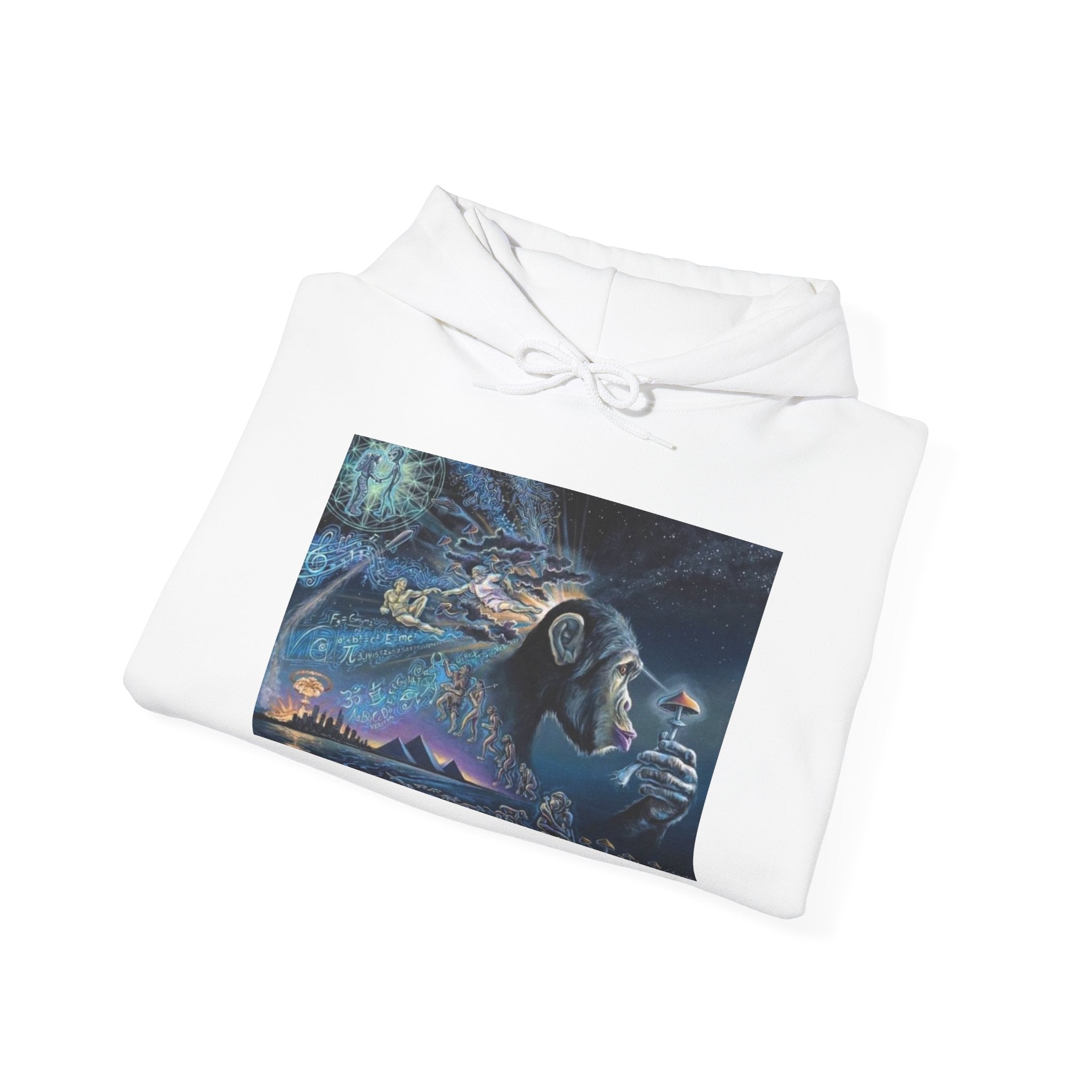 Stoned Ape Theory Hoodie - Unisex Heavy Blend Sweatshirt, Galaxy Art Pullover, Mens Womens Hoodie, Chill Vibes Sweatshirt