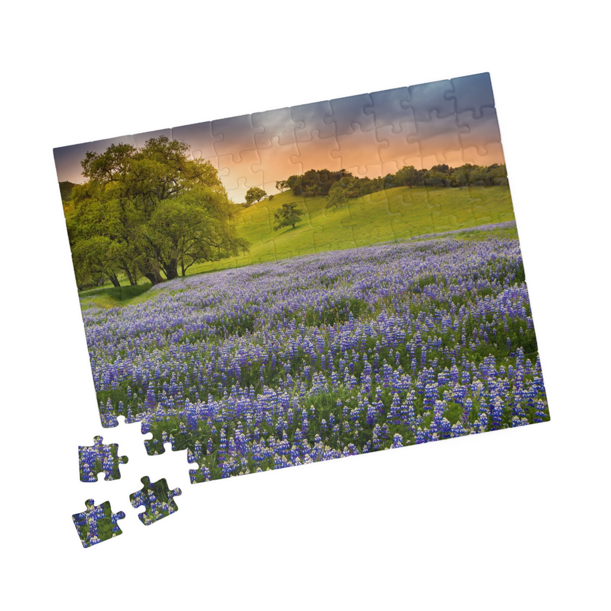Bluebonnet Field Sunset Puzzle | Scenic Landscape Jigsaw