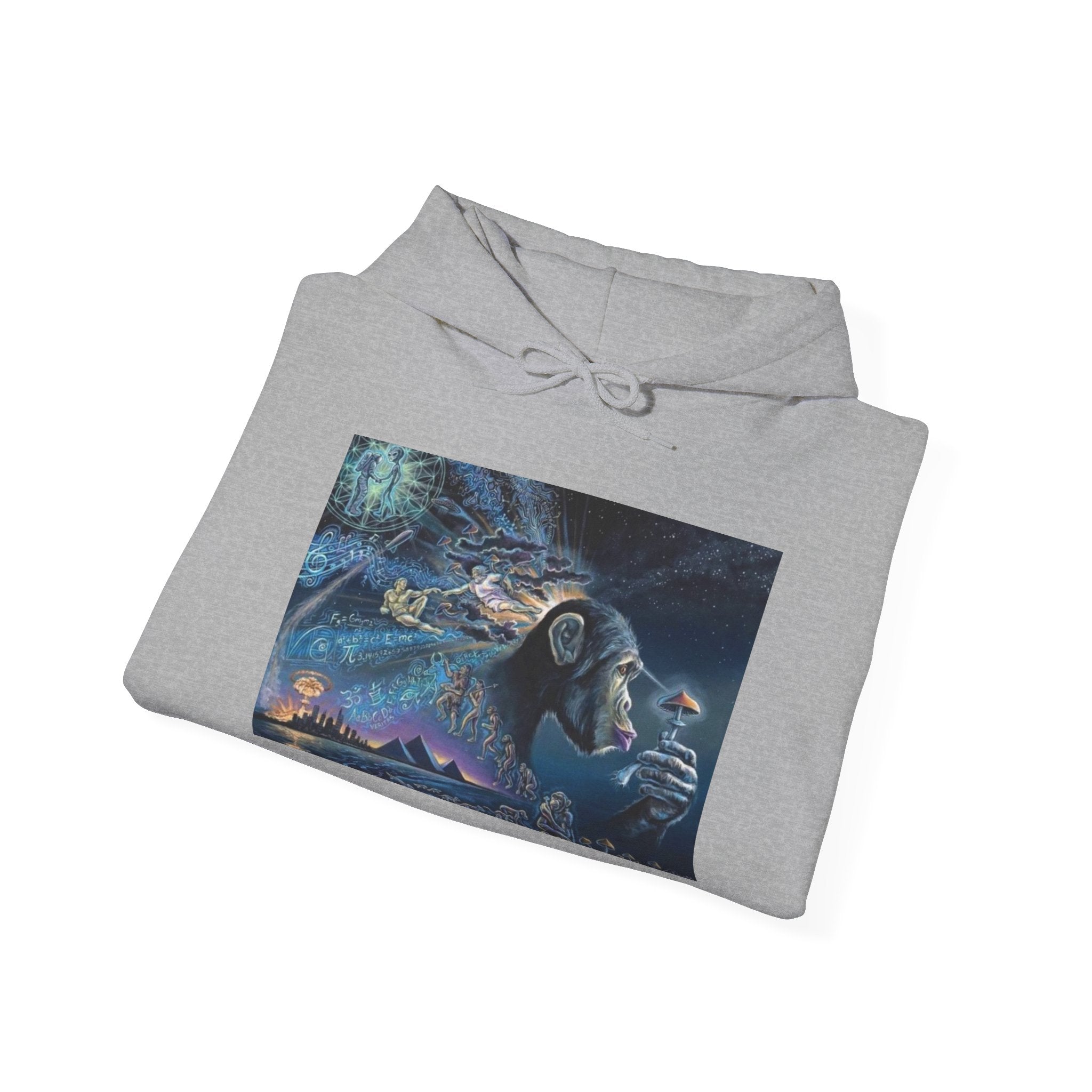 Stoned Ape Theory Hoodie - Unisex Heavy Blend Sweatshirt, Galaxy Art Pullover, Mens Womens Hoodie, Chill Vibes Sweatshirt