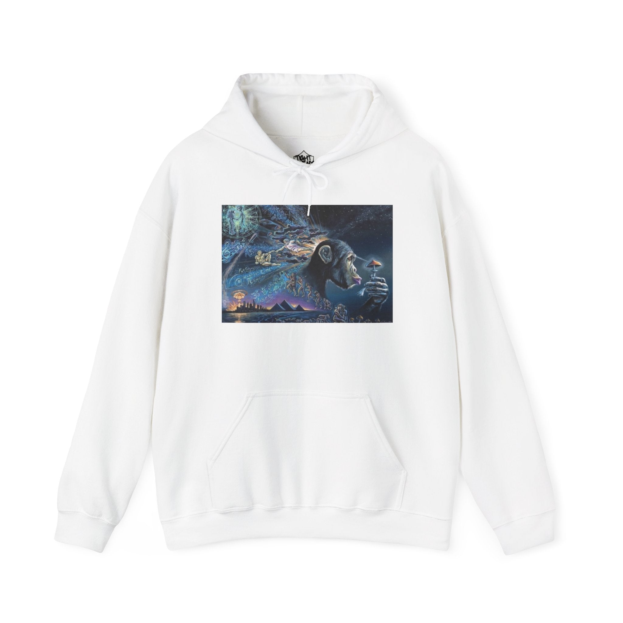 Stoned Ape Theory Hoodie - Unisex Heavy Blend Sweatshirt, Galaxy Art Pullover, Mens Womens Hoodie, Chill Vibes Sweatshirt