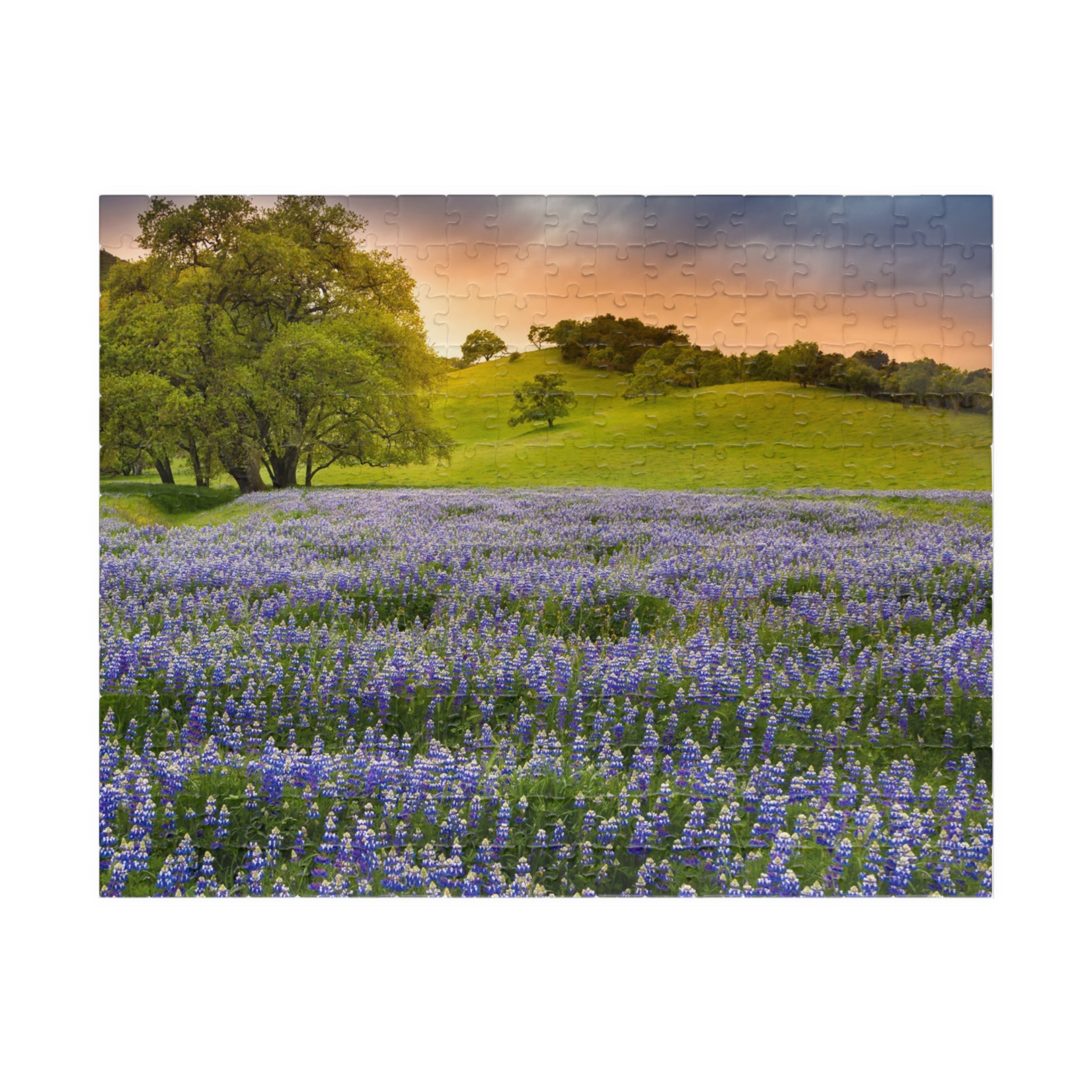 Bluebonnet Field Sunset Puzzle | Scenic Landscape Jigsaw