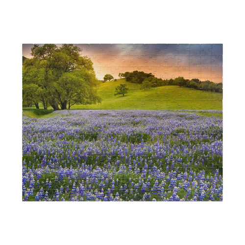 Bluebonnet Field Sunset Puzzle | Scenic Landscape Jigsaw