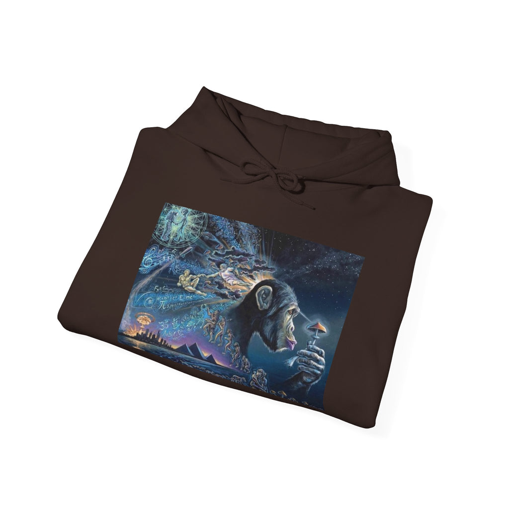 Stoned Ape Theory Hoodie - Unisex Heavy Blend Sweatshirt, Galaxy Art Pullover, Mens Womens Hoodie, Chill Vibes Sweatshirt