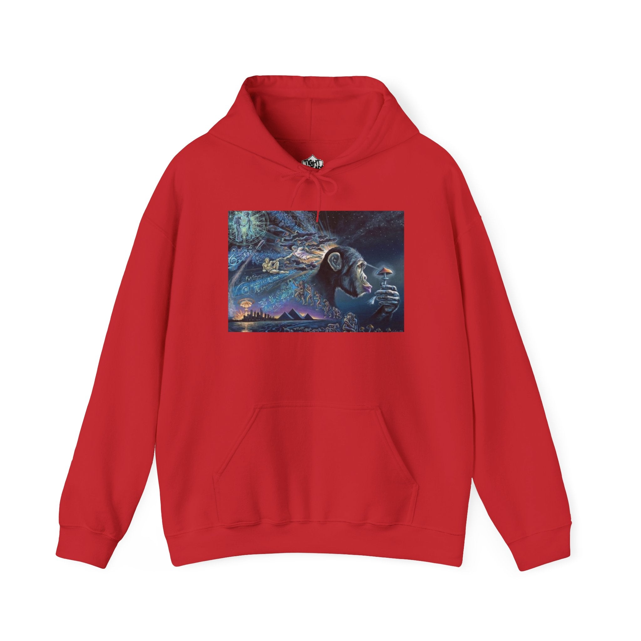 Stoned Ape Theory Hoodie - Unisex Heavy Blend Sweatshirt, Galaxy Art Pullover, Mens Womens Hoodie, Chill Vibes Sweatshirt