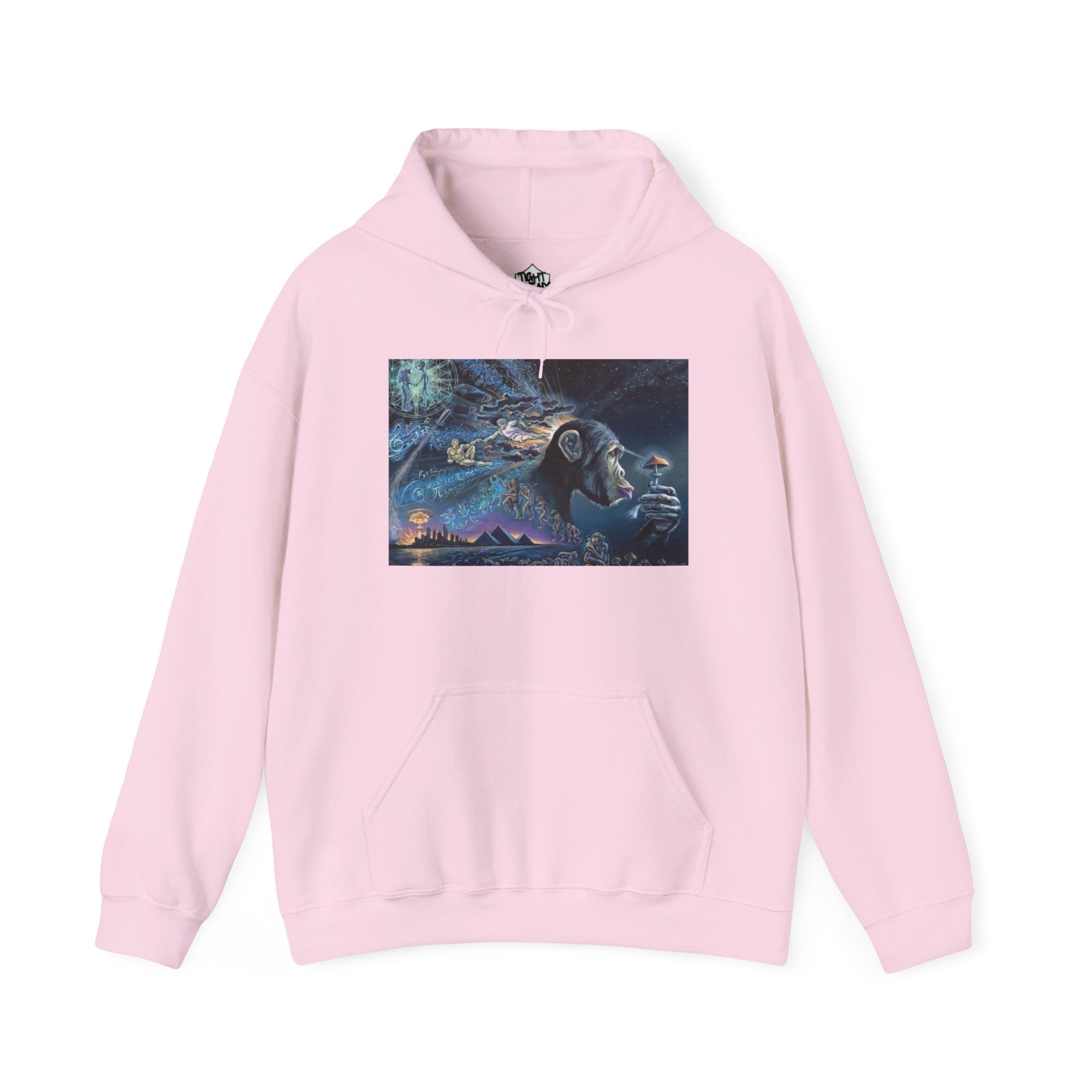 Stoned Ape Theory Hoodie - Unisex Heavy Blend Sweatshirt, Galaxy Art Pullover, Mens Womens Hoodie, Chill Vibes Sweatshirt