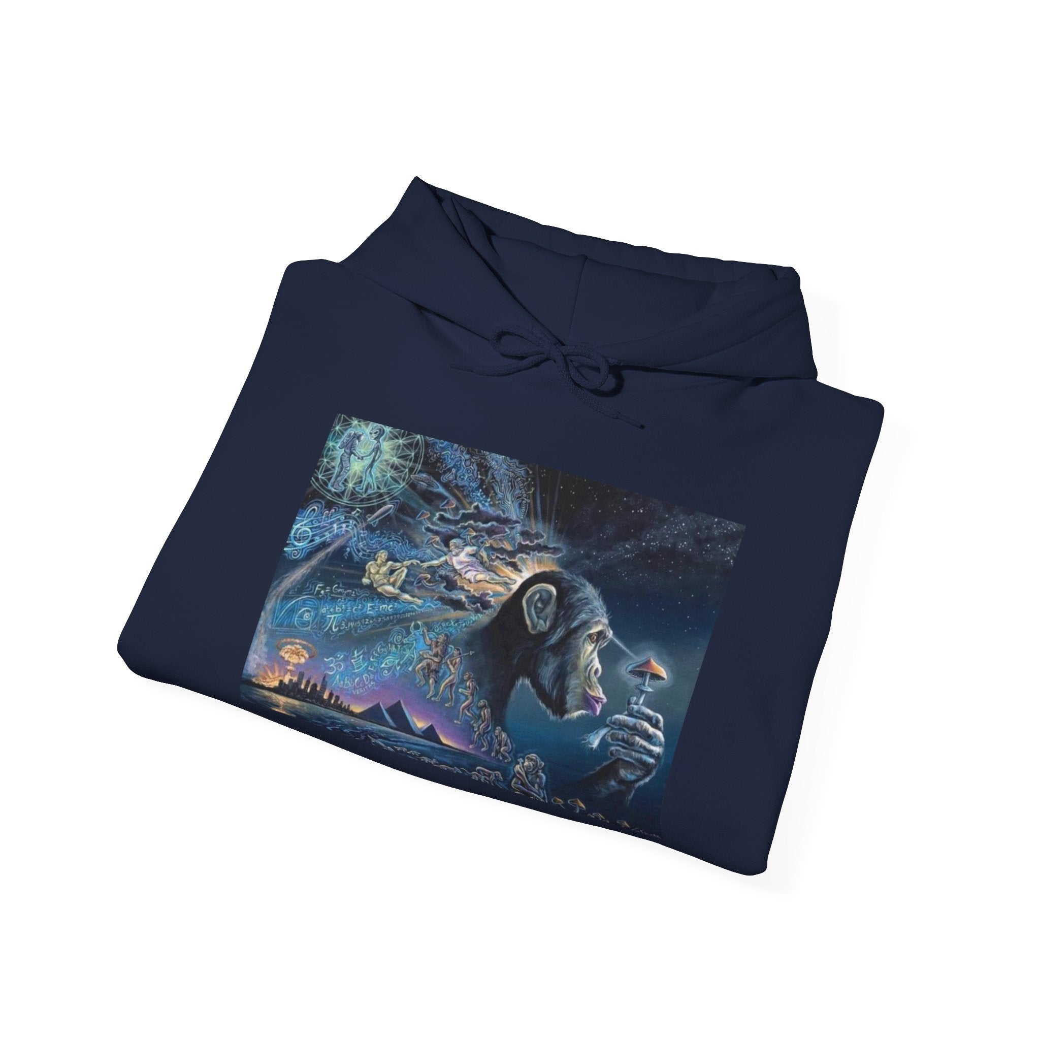 Stoned Ape Theory Hoodie - Unisex Heavy Blend Sweatshirt, Galaxy Art Pullover, Mens Womens Hoodie, Chill Vibes Sweatshirt