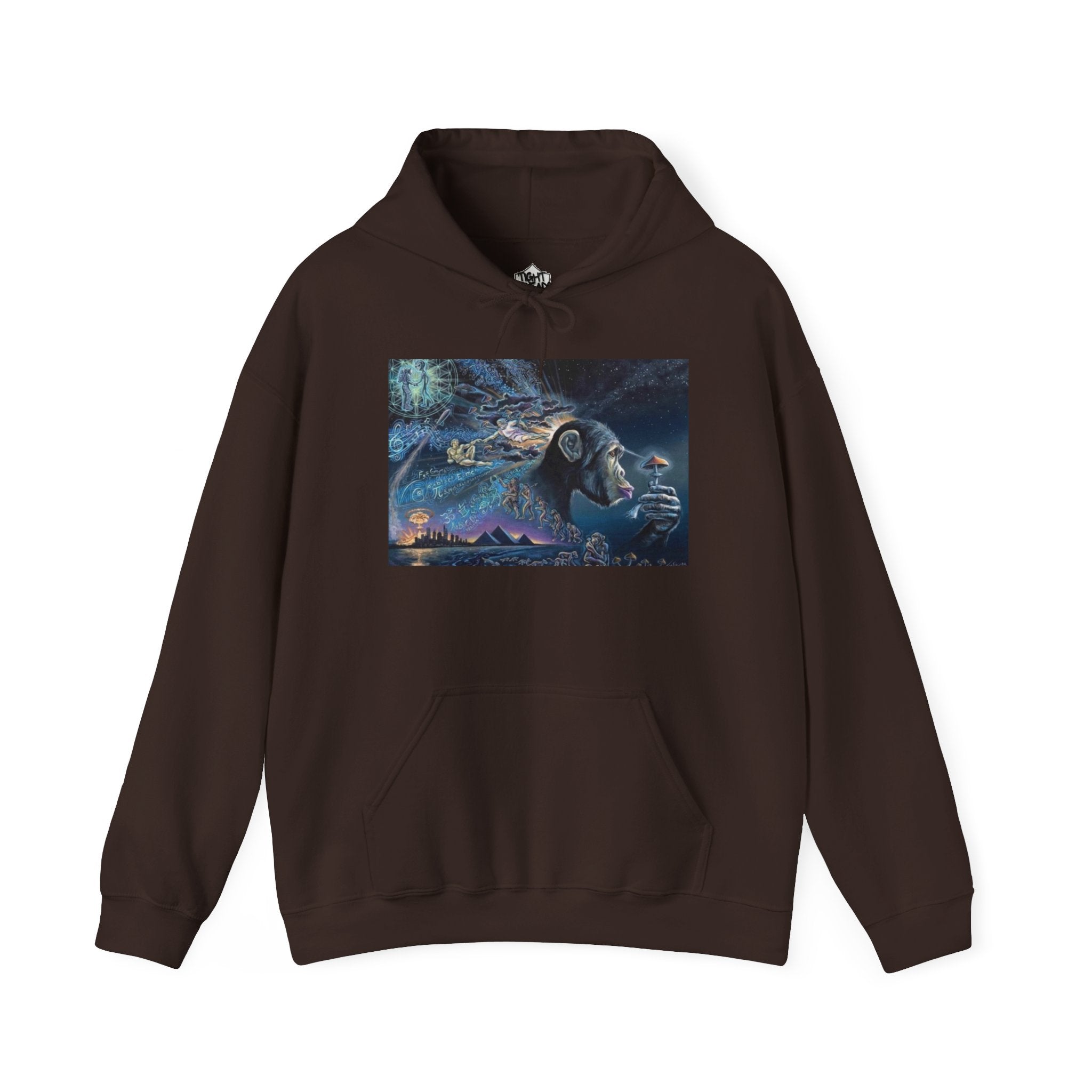Stoned Ape Theory Hoodie - Unisex Heavy Blend Sweatshirt, Galaxy Art Pullover, Mens Womens Hoodie, Chill Vibes Sweatshirt