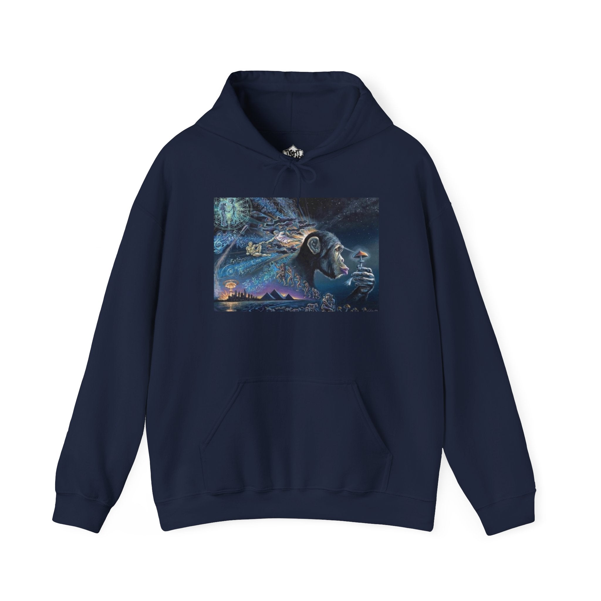 Stoned Ape Theory Hoodie - Unisex Heavy Blend Sweatshirt, Galaxy Art Pullover, Mens Womens Hoodie, Chill Vibes Sweatshirt