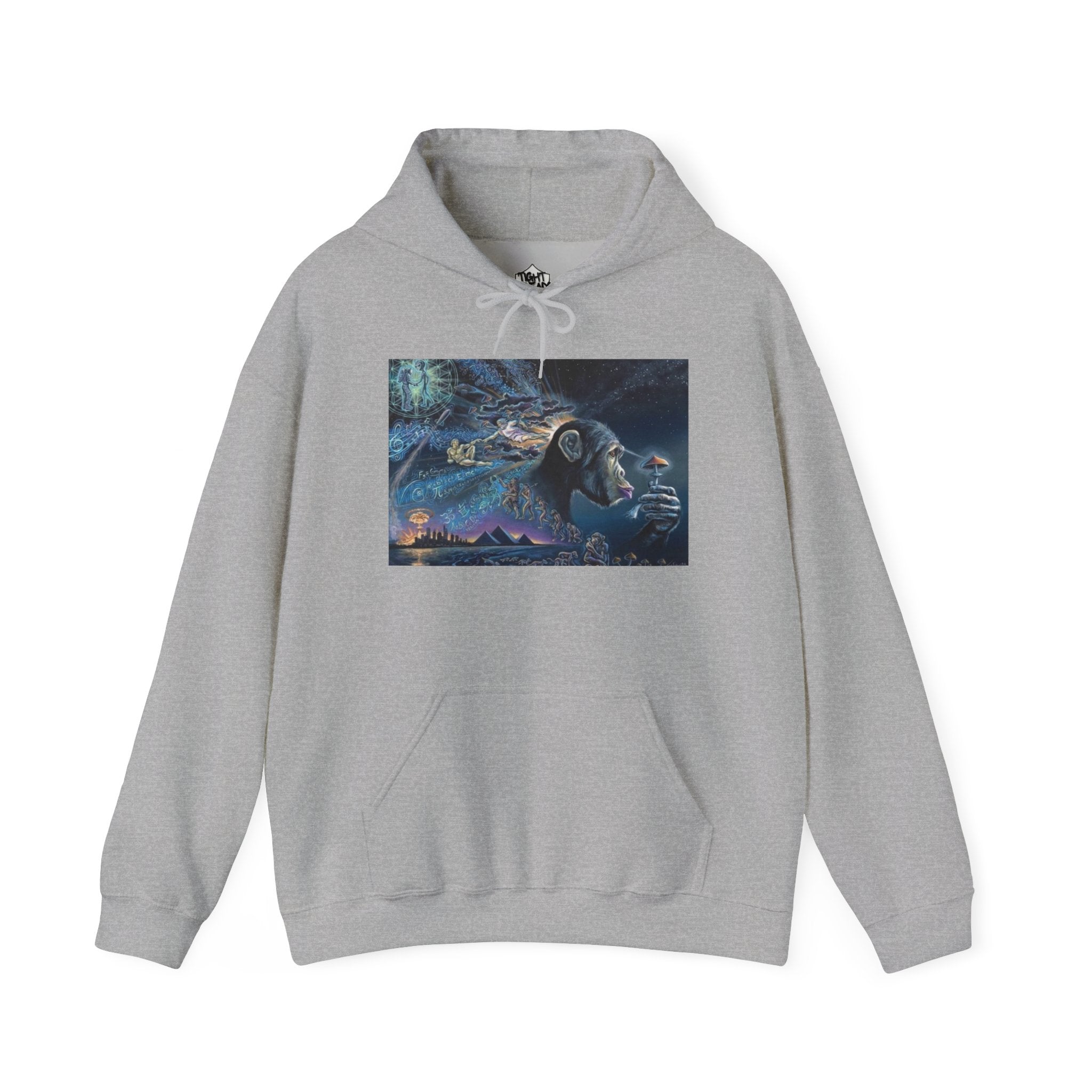 Stoned Ape Theory Hoodie - Unisex Heavy Blend Sweatshirt, Galaxy Art Pullover, Mens Womens Hoodie, Chill Vibes Sweatshirt