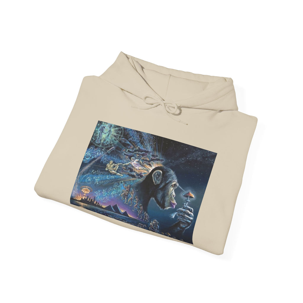 Stoned Ape Theory Hoodie - Unisex Heavy Blend Sweatshirt, Galaxy Art Pullover, Mens Womens Hoodie, Chill Vibes Sweatshirt