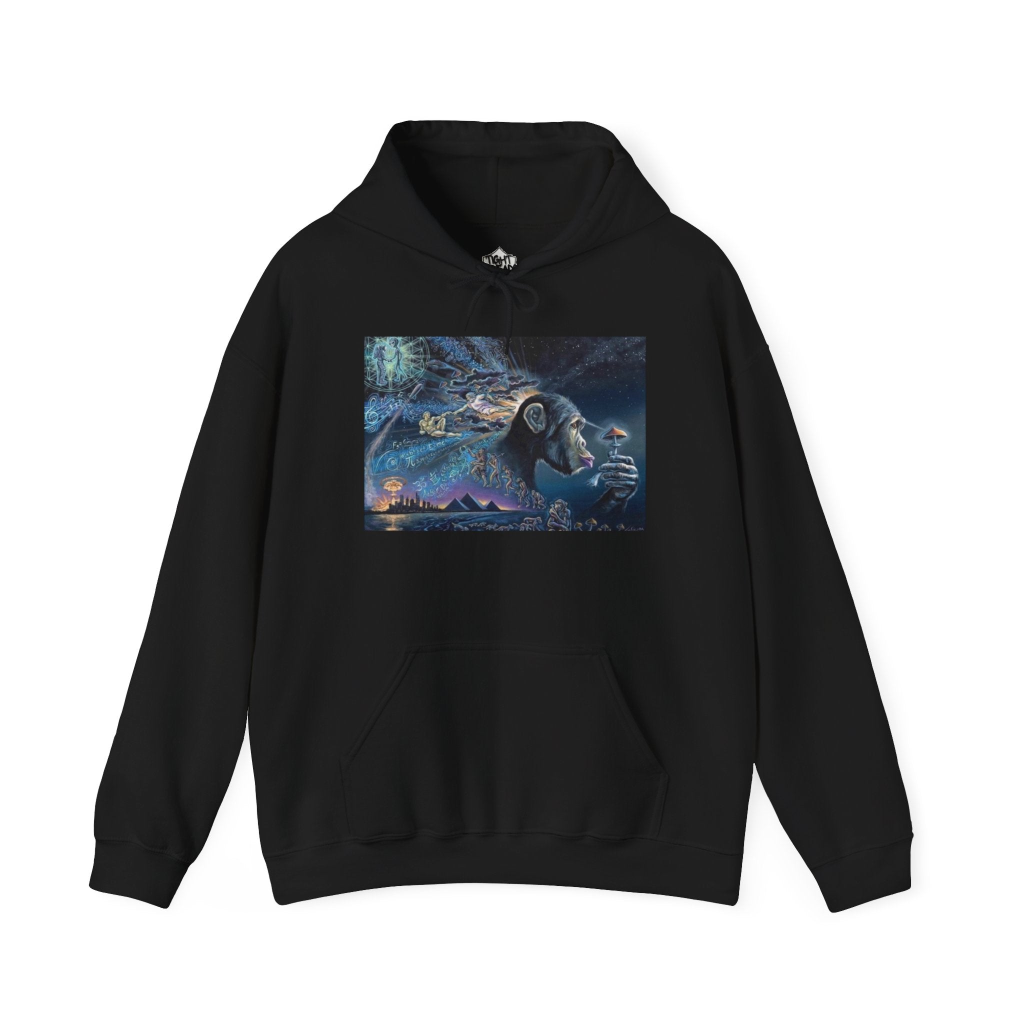 Stoned Ape Theory Hoodie - Unisex Heavy Blend Sweatshirt, Galaxy Art Pullover, Mens Womens Hoodie, Chill Vibes Sweatshirt